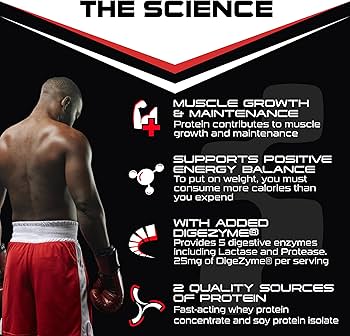 SCI-MX Total Mass - Advanced Muscle Mass Gainer Protein Powder - 2 Kg - Image 3